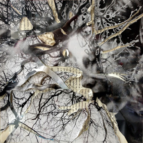 2TreeFace Buchschnit